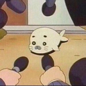 Meet your Posher, Dawn